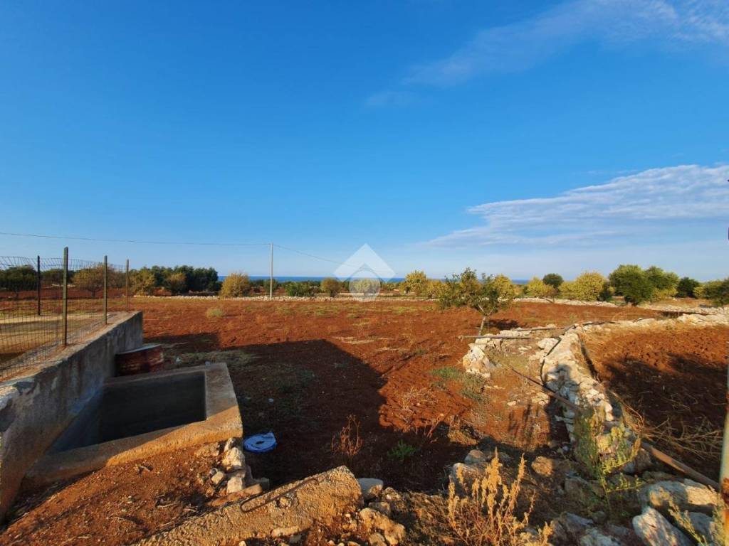 Terreno a Polignano a mare in contrada macchia bruciata - Foto 5