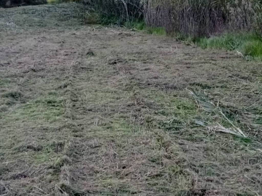 Terreno a Castellabate in Via Arena S.N.C. - Foto 5