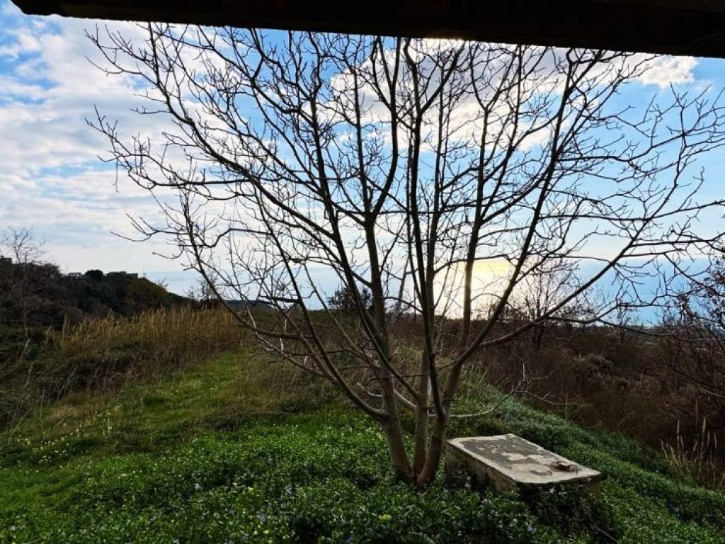 Villa a Belvedere marittimo in Contrada Triggiano - Foto 2