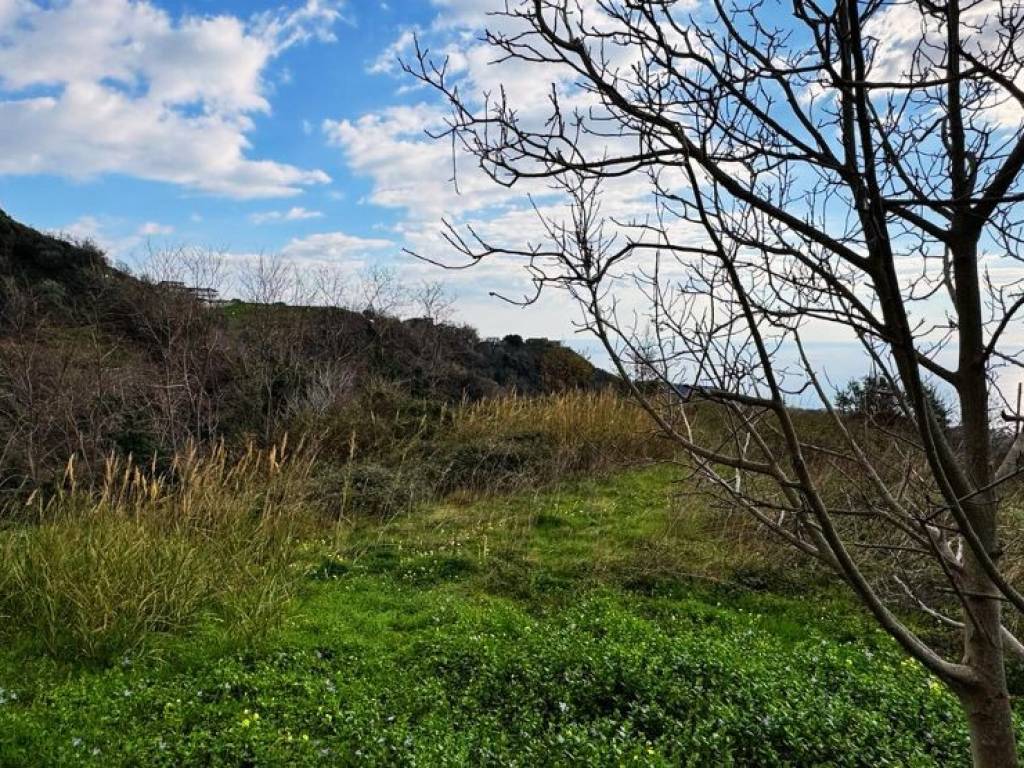 Villa a Belvedere marittimo in Contrada Triggiano - Foto 3