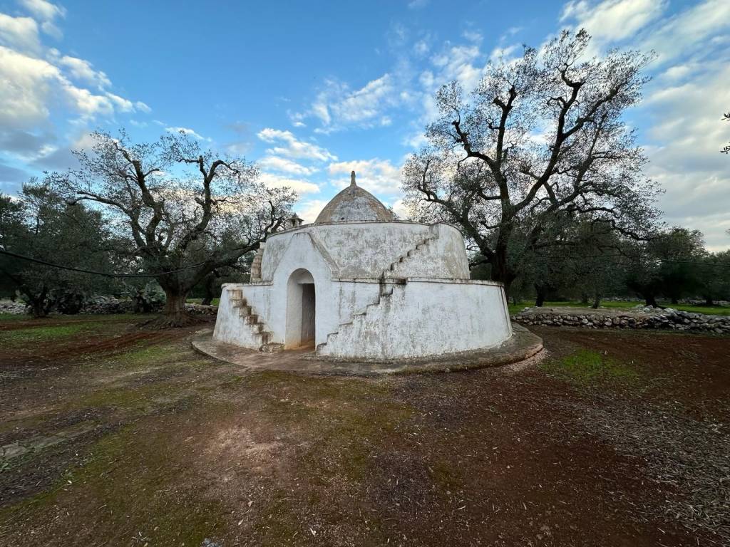 Rustico / casale a San vito dei normanni in Contrada Favone - Foto 2
