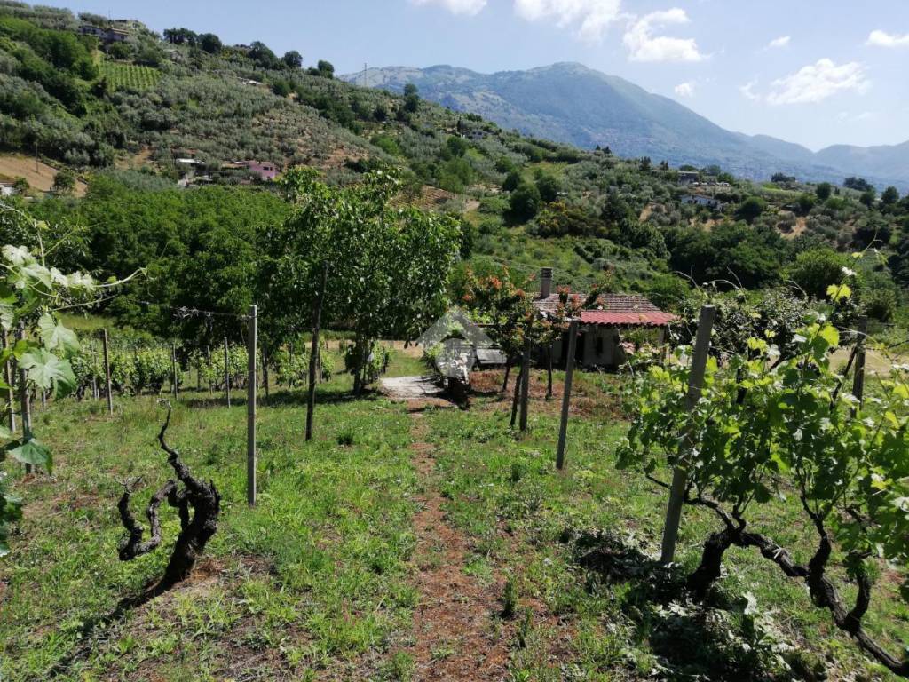 Rustico / casale a Olevano romano in colle canino - Foto 3