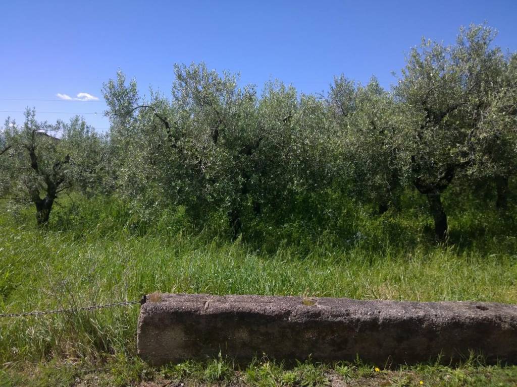 Terreno a Eboli in VIA ALESSANDRO VOLTA - Foto 2