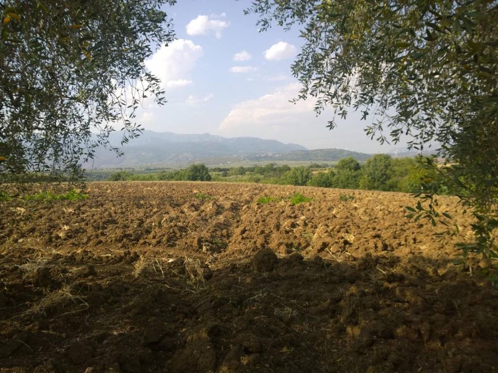 Terreno a Serre in Contrada Pagliarone - Foto 3