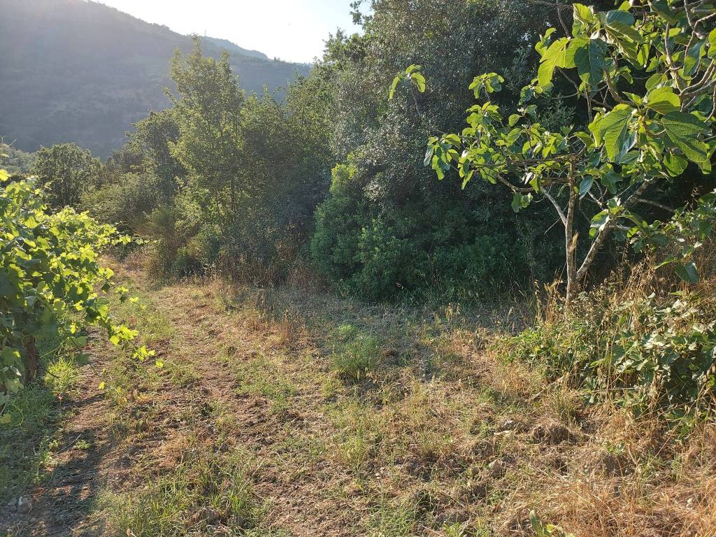 Terreno a Rutino in Via del Campo Sportivo - Foto 4
