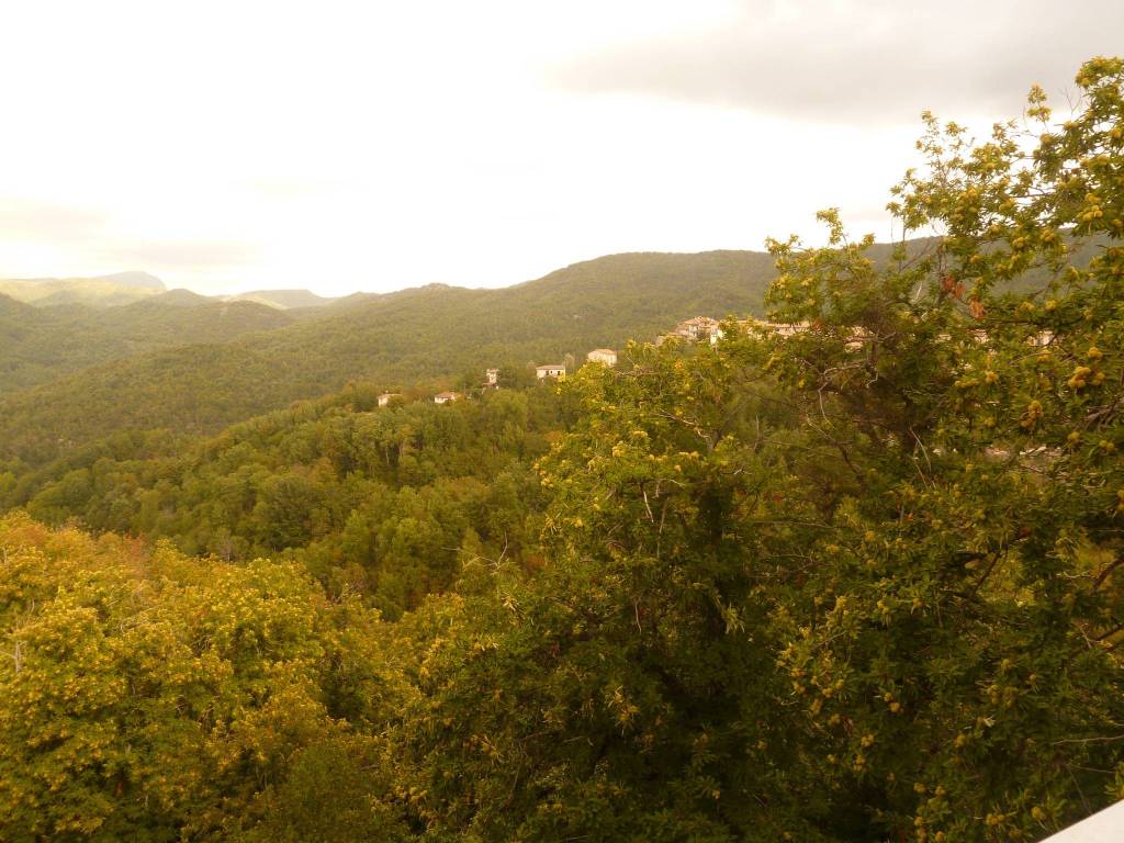 Appartamento a Nespolo in Via delle Querce - Foto 2