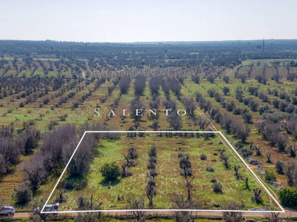 Terreno a Ugento in SP72, - Foto 2