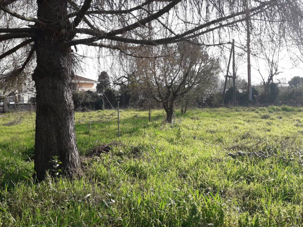 Villa a Palestrina - Foto 4