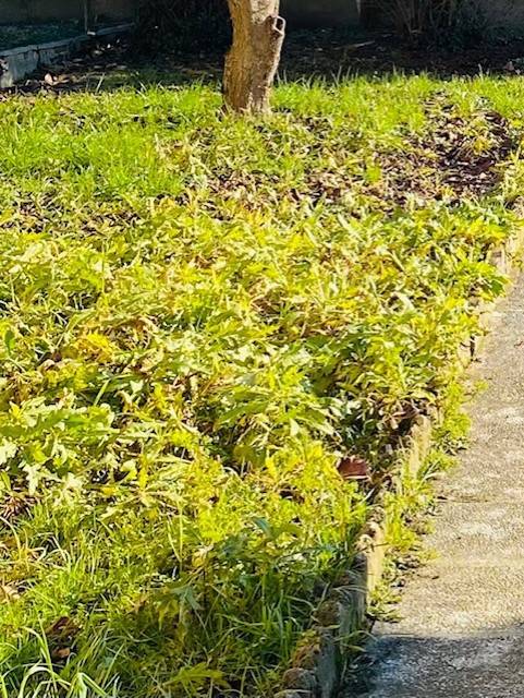 Appartamento a Maranello - Foto 5