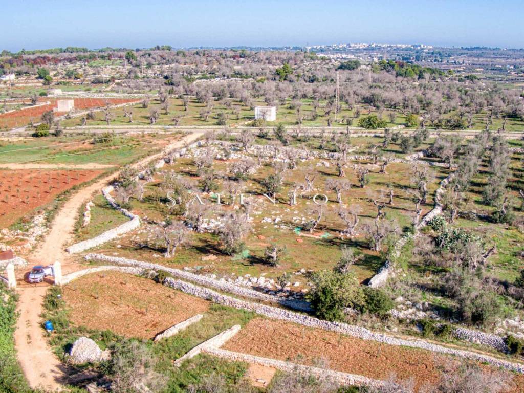 Terreno a Castrignano del capo in Strada Provinciale Presicce Morciano Gagliano del Capo - Foto 2