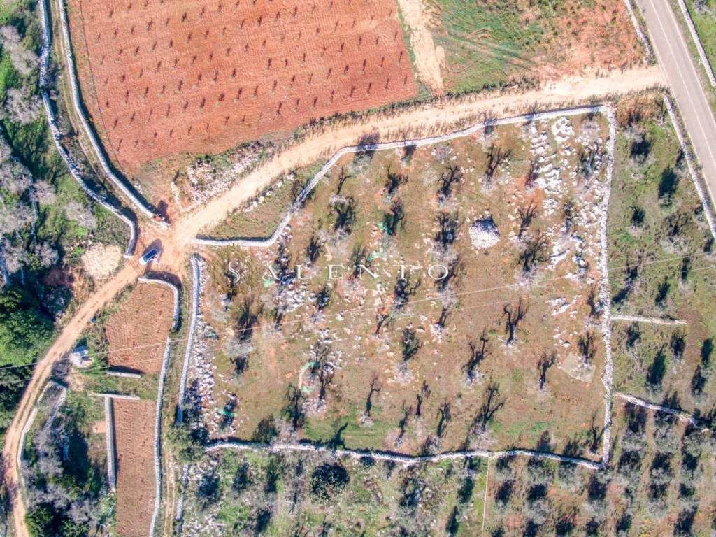 Terreno a Castrignano del capo in Strada Provinciale Presicce Morciano Gagliano del Capo - Foto 3