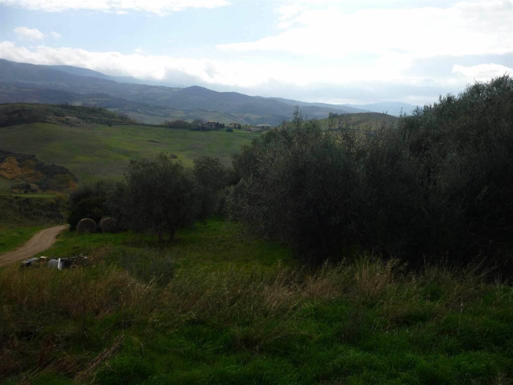 Appartamento a Cinigiano - Foto 3