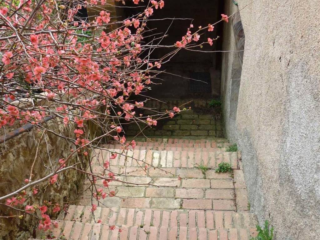 Appartamento a Cinigiano - Foto 4