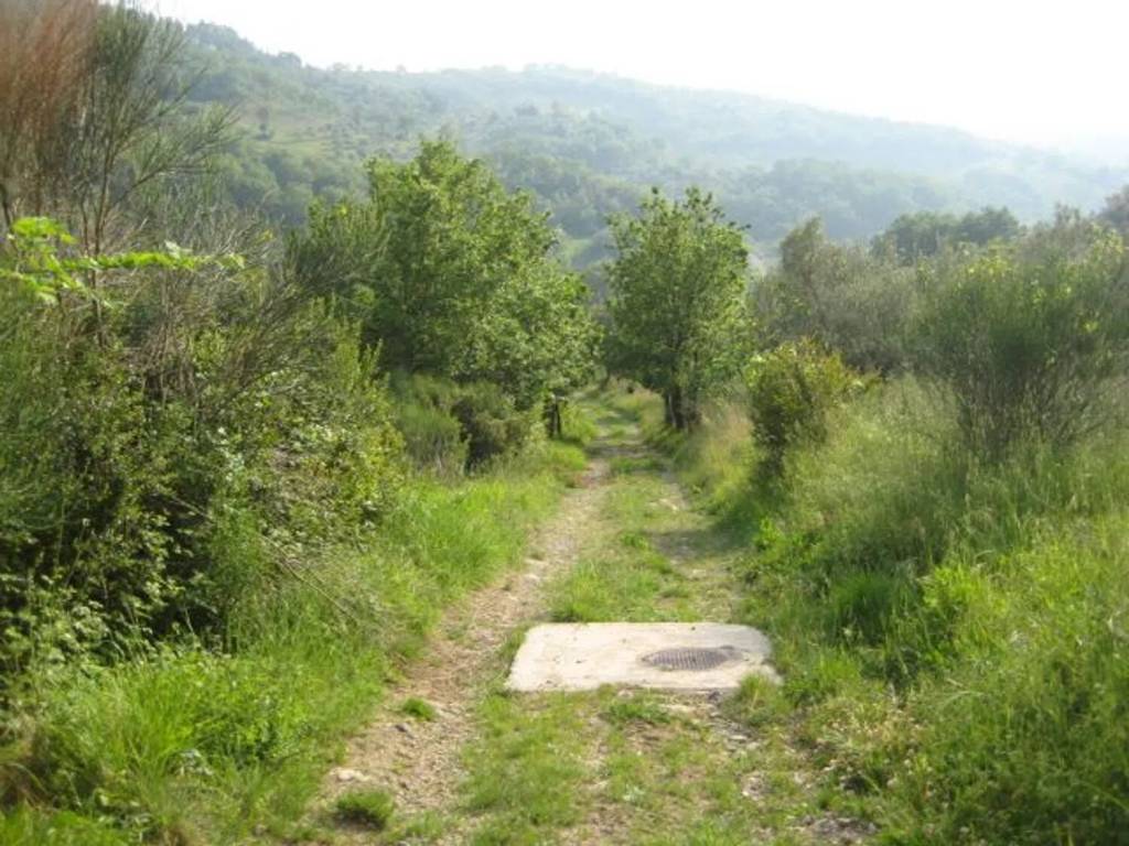 Terreno a Giungano in Via Santa Croce S.N.C. - Foto 2