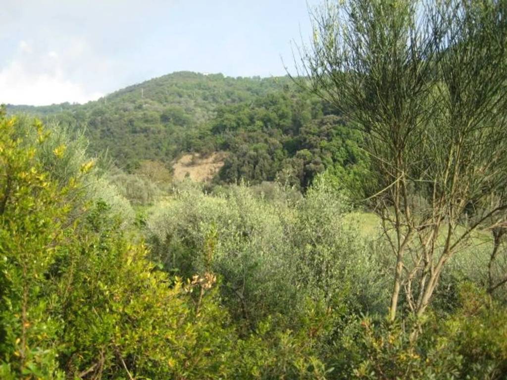 Terreno a Giungano in Via Santa Croce S.N.C. - Foto 3