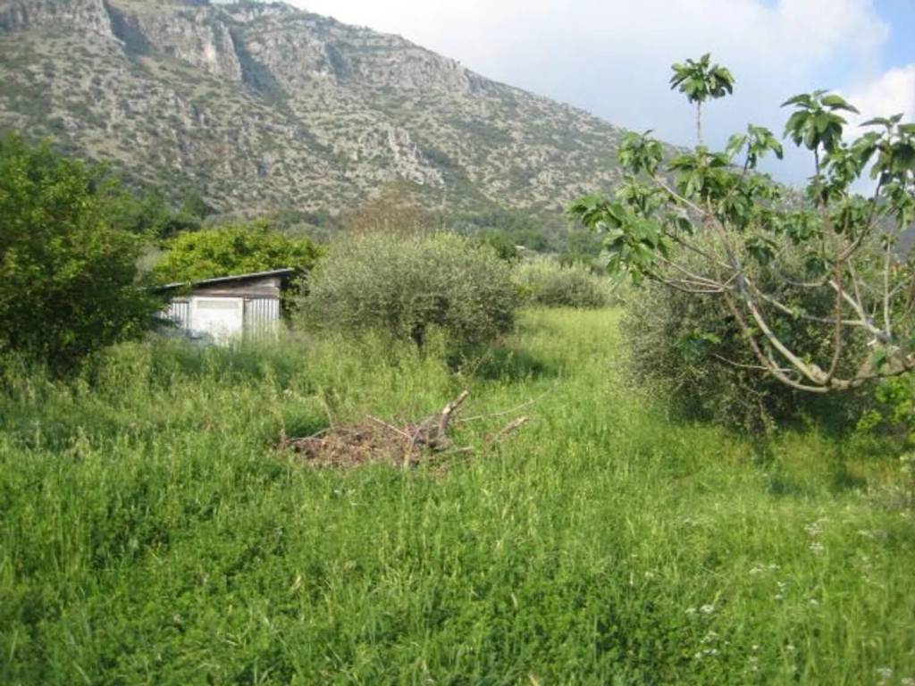 Terreno a Giungano in Via Santa Croce S.N.C. - Foto 5