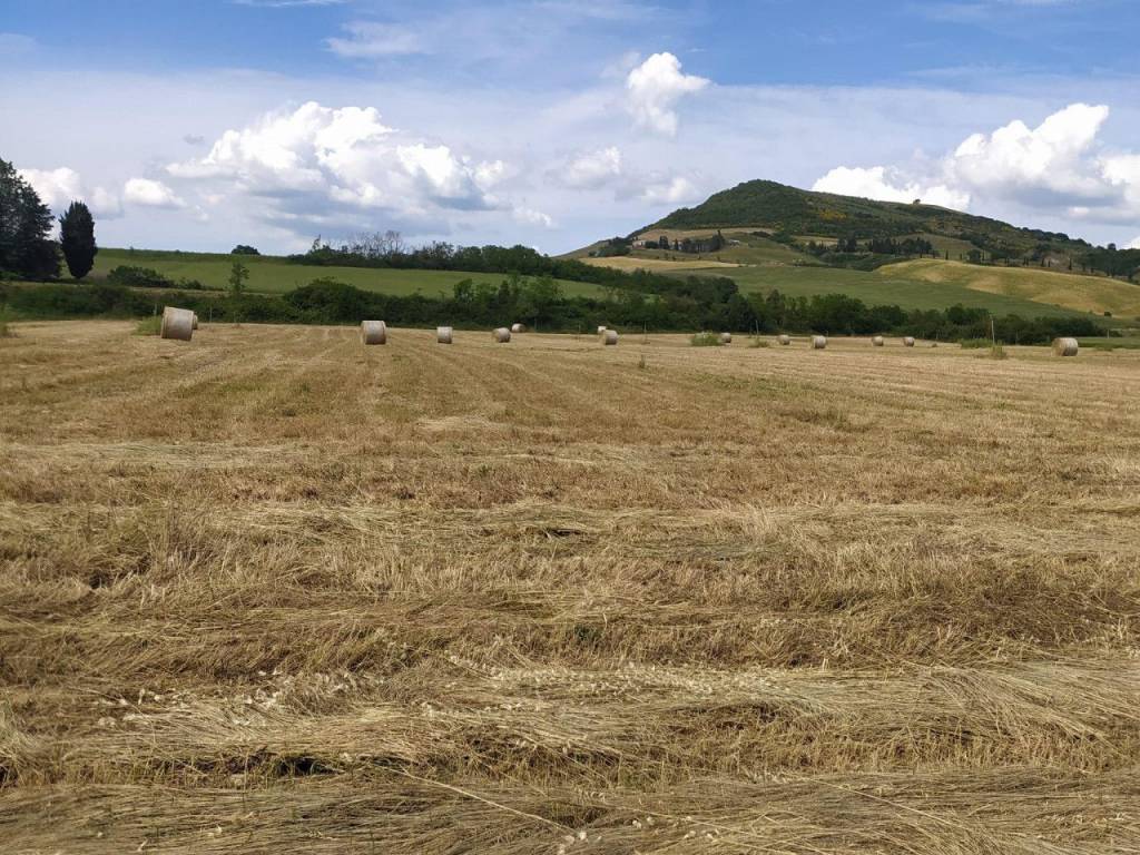 Terreno a San casciano dei bagni in località Podere il Gattinetto - Foto 2