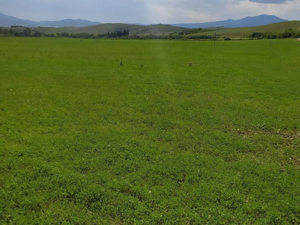 Terreno a San casciano dei bagni in località Podere il Gattinetto - Foto 3
