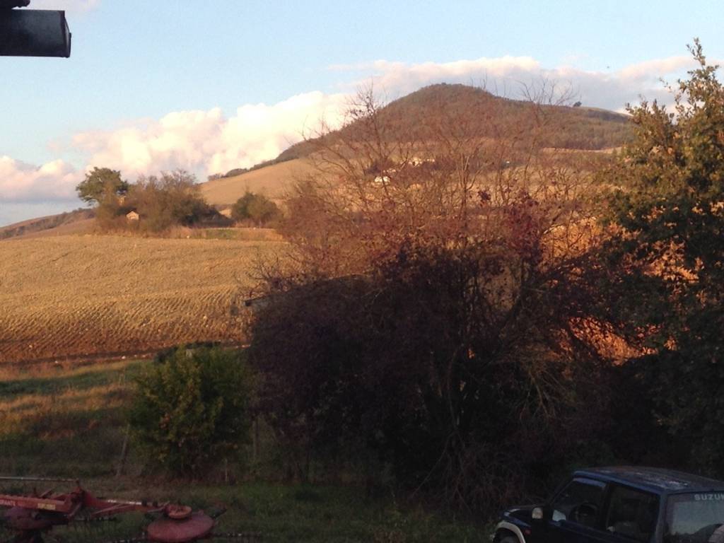 Terreno a San casciano dei bagni in località Podere il Gattinetto - Foto 4