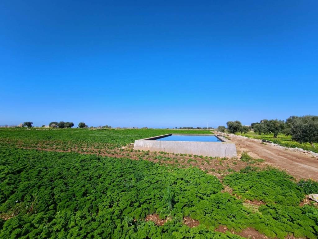 Terreno a Polignano a mare in Strada Comunale De Nigris - Foto 2