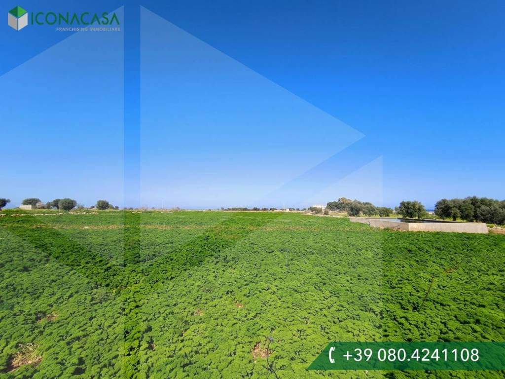 Terreno a Polignano a mare in Strada Comunale De Nigris - Foto 3