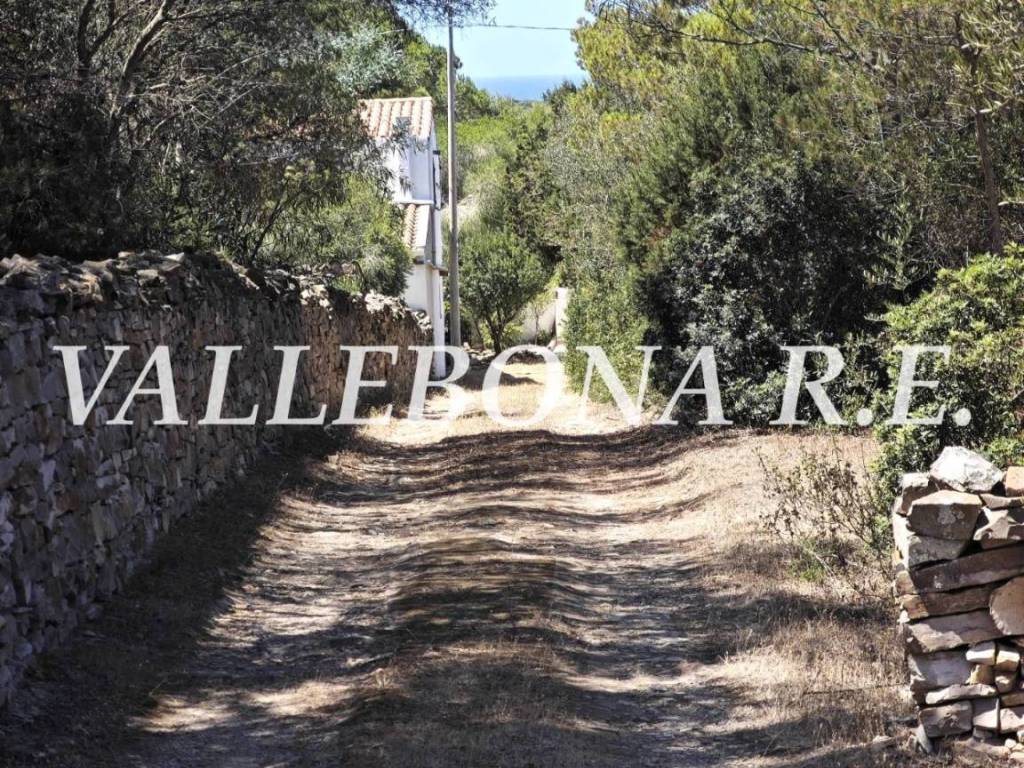 Villa a Carloforte in Località Spalmatore - Foto 5