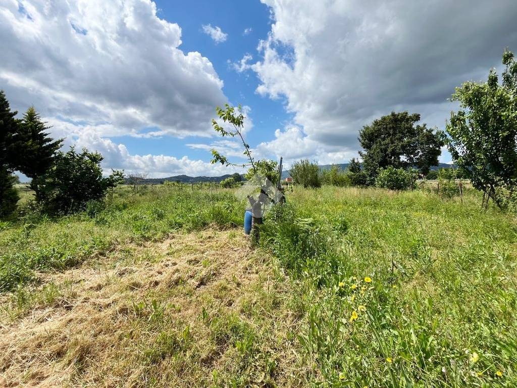 Terreno a Prato in Via Argine dell'Ombrone, 200 - Foto 4