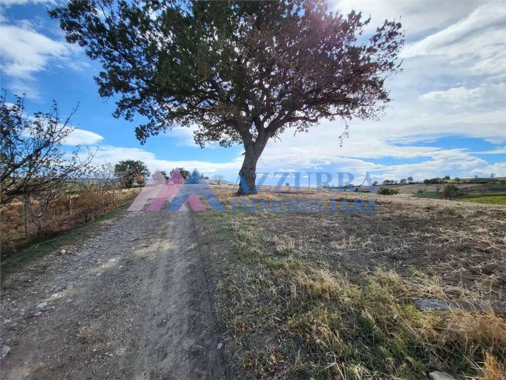 Terreno a Montenero di bisaccia - Foto 2