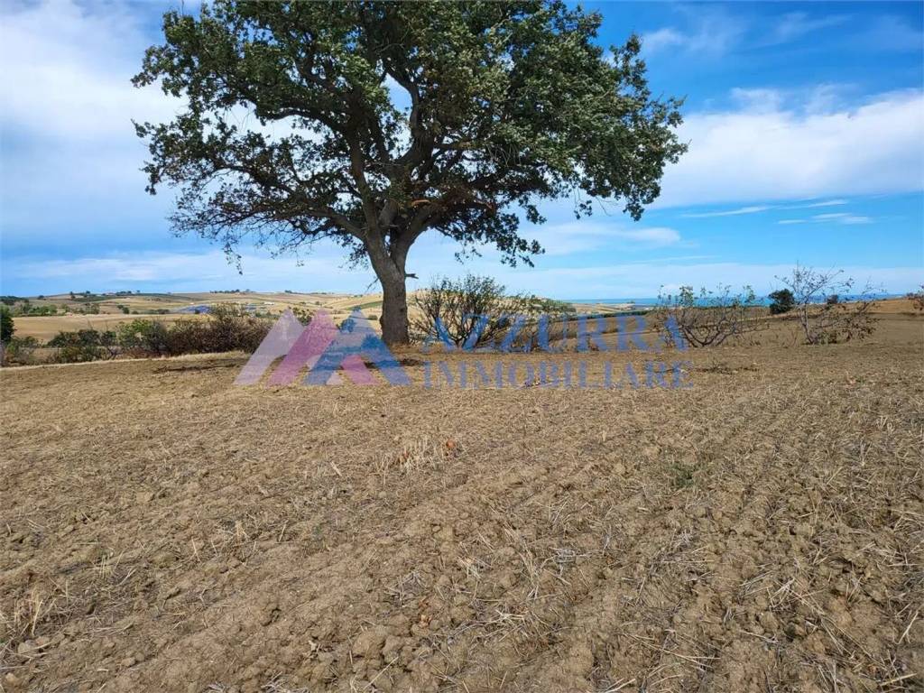 Terreno a Montenero di bisaccia - Foto 4