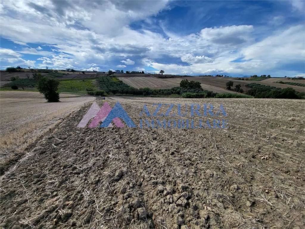 Terreno a Montenero di bisaccia - Foto 5