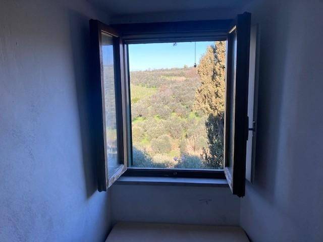 Casa indipendente a Vinci - Foto 4