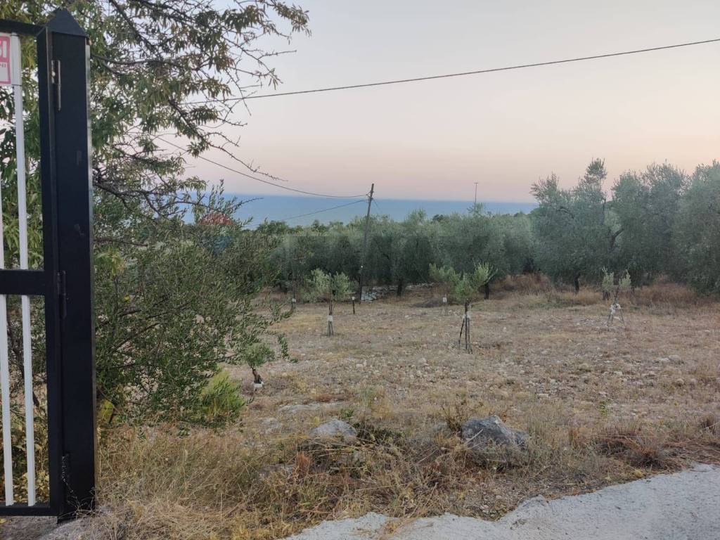 Terreno a Mattinata in Via Contrada Gravaglione - Foto 3