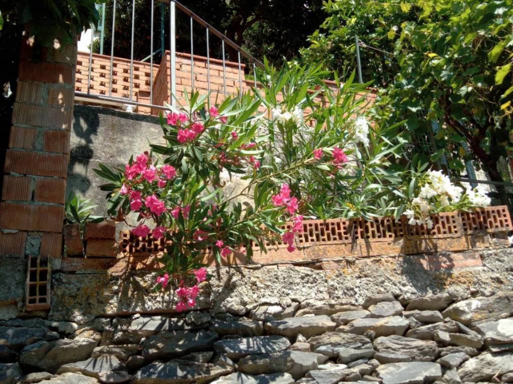 Casa indipendente a Ameglia - Foto 2