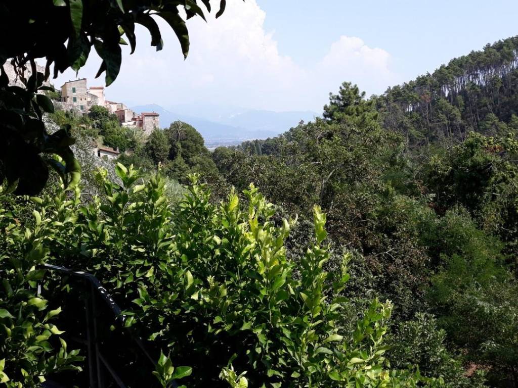 Casa indipendente a Ameglia - Foto 5