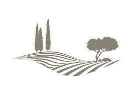 Terreno a Chioggia - Foto 2