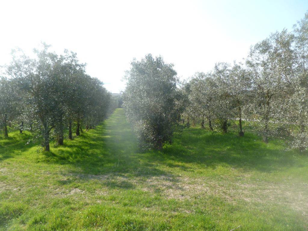 Terreno a Magione in Via della Fonte - Foto 2