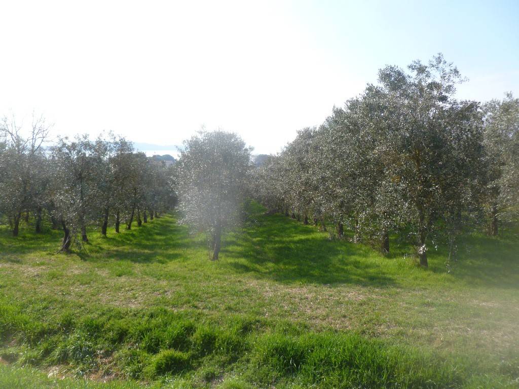 Terreno a Magione in Via della Fonte - Foto 3