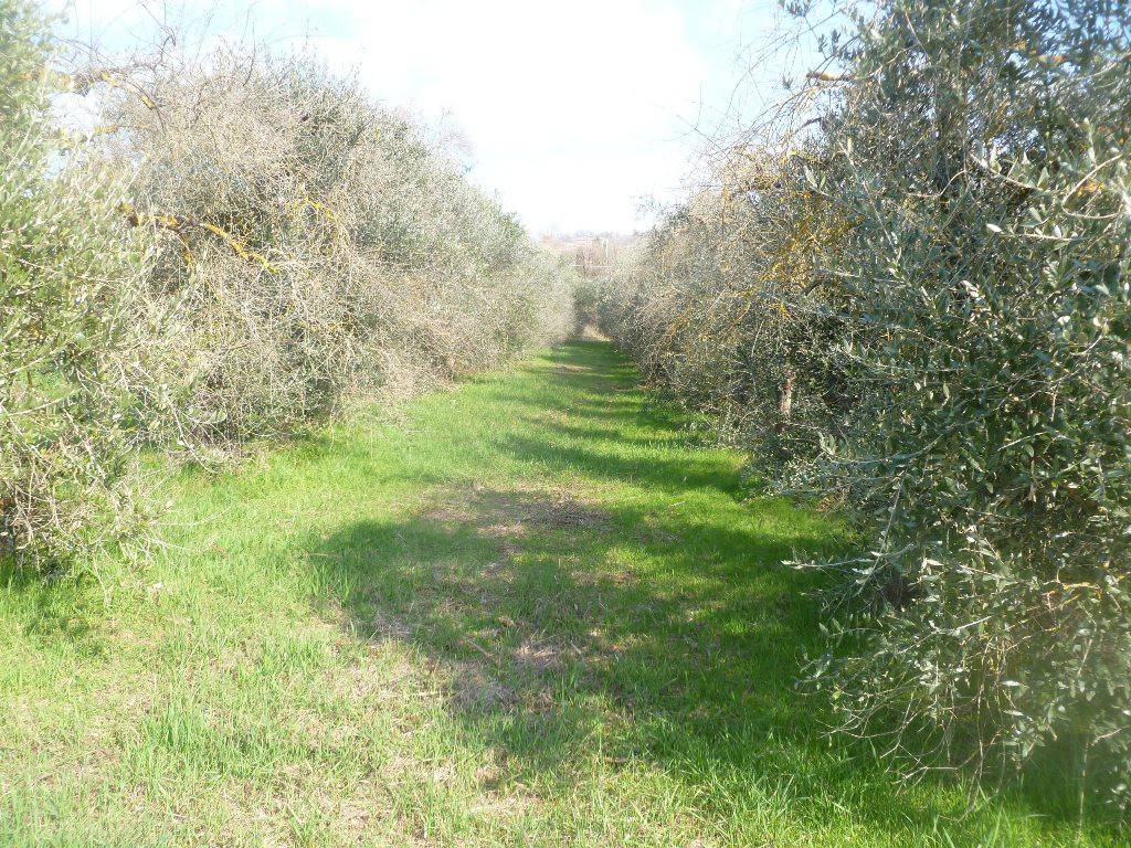 Terreno a Magione in Via della Fonte - Foto 4