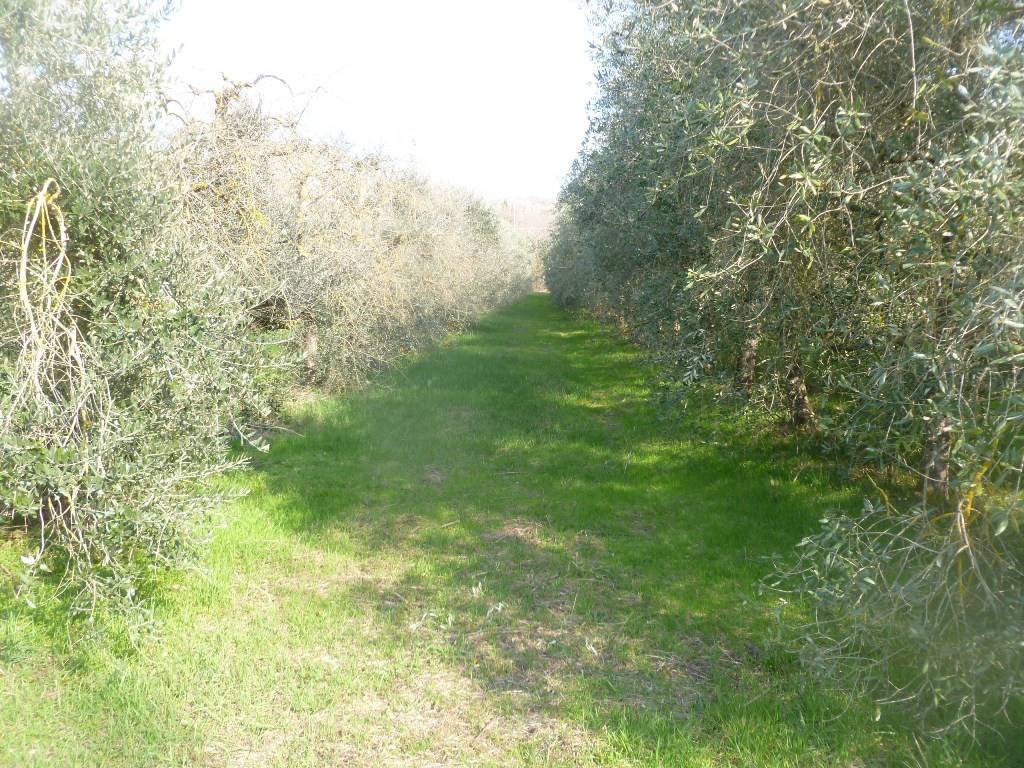 Terreno a Magione in Via della Fonte - Foto 5