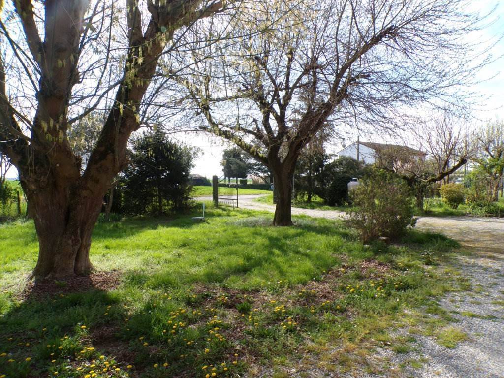 Rustico / casale a Ostellato in Via Gambulaga, 12 - Foto 4