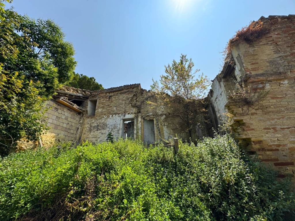 Rustico / casale a Sant'elpidio a mare in Via Mostrapiedi - Foto 4
