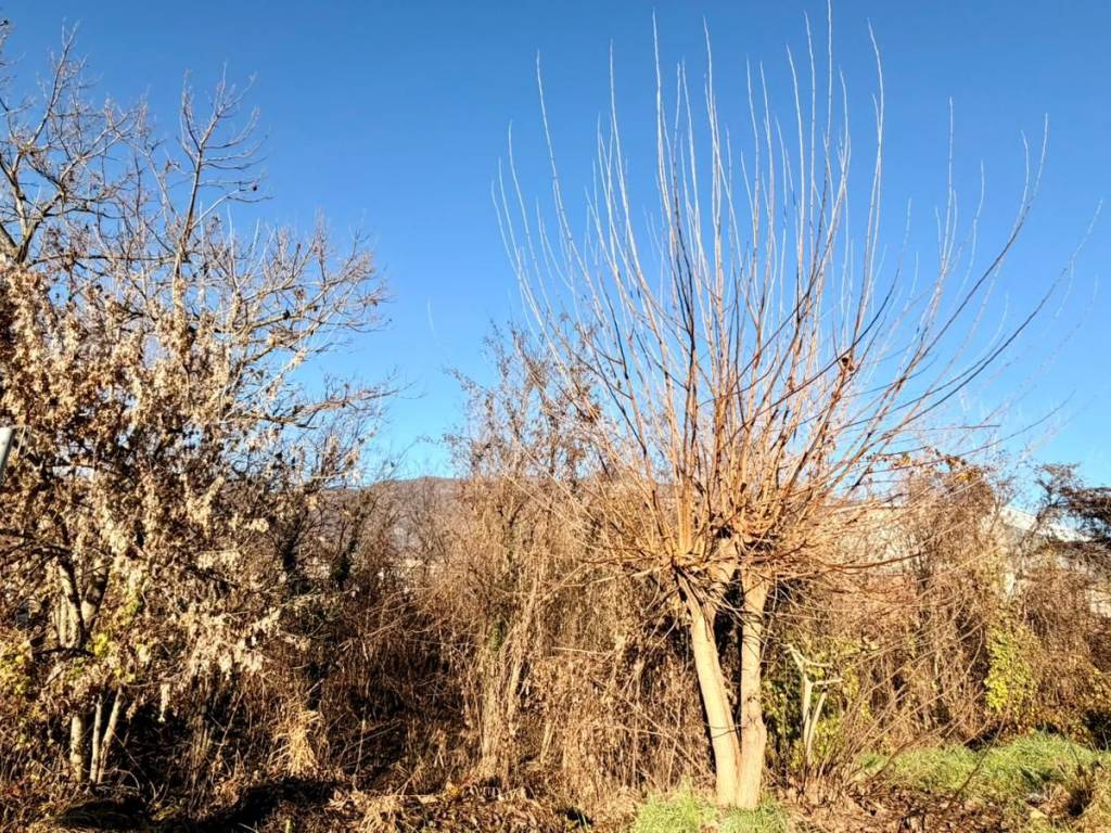 Terreno a Botticino in Via G. Pastore - Foto 3