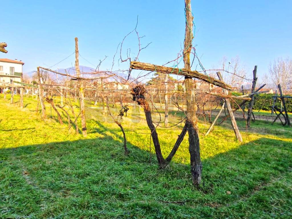 Terreno a Brogliano in Via Castello, 17 - Foto 3