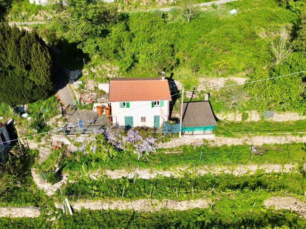 Rustico / casale a Pontedassio in Località Abrighetti - Foto 3