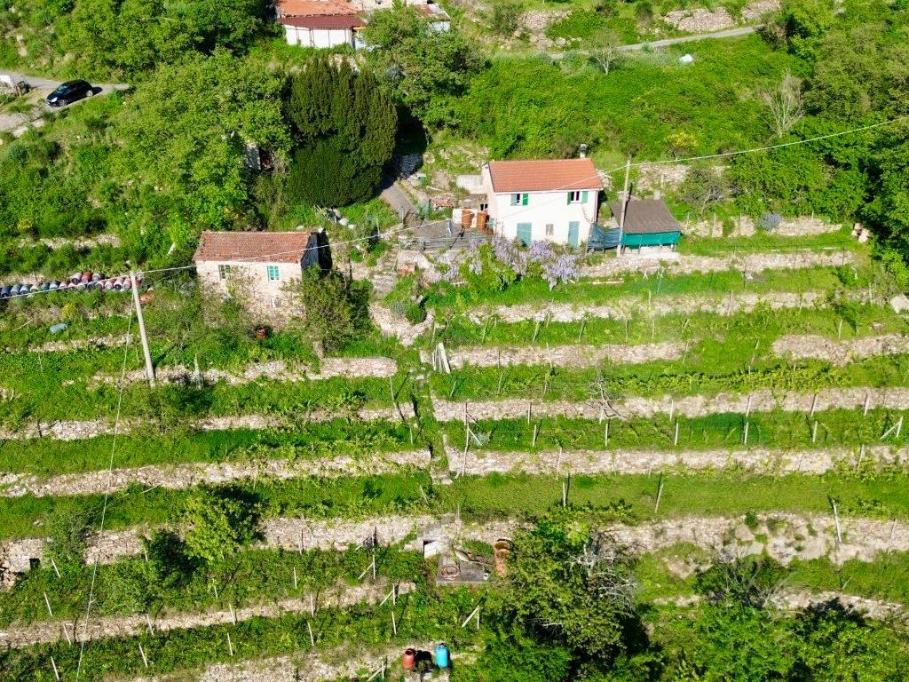 Rustico / casale a Pontedassio in Località Abrighetti - Foto 4