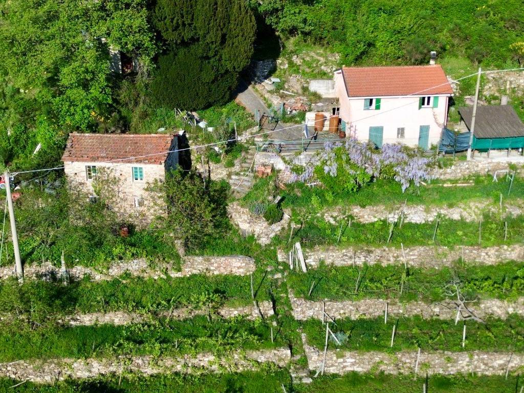 Rustico / casale a Pontedassio in Località Abrighetti - Foto 5