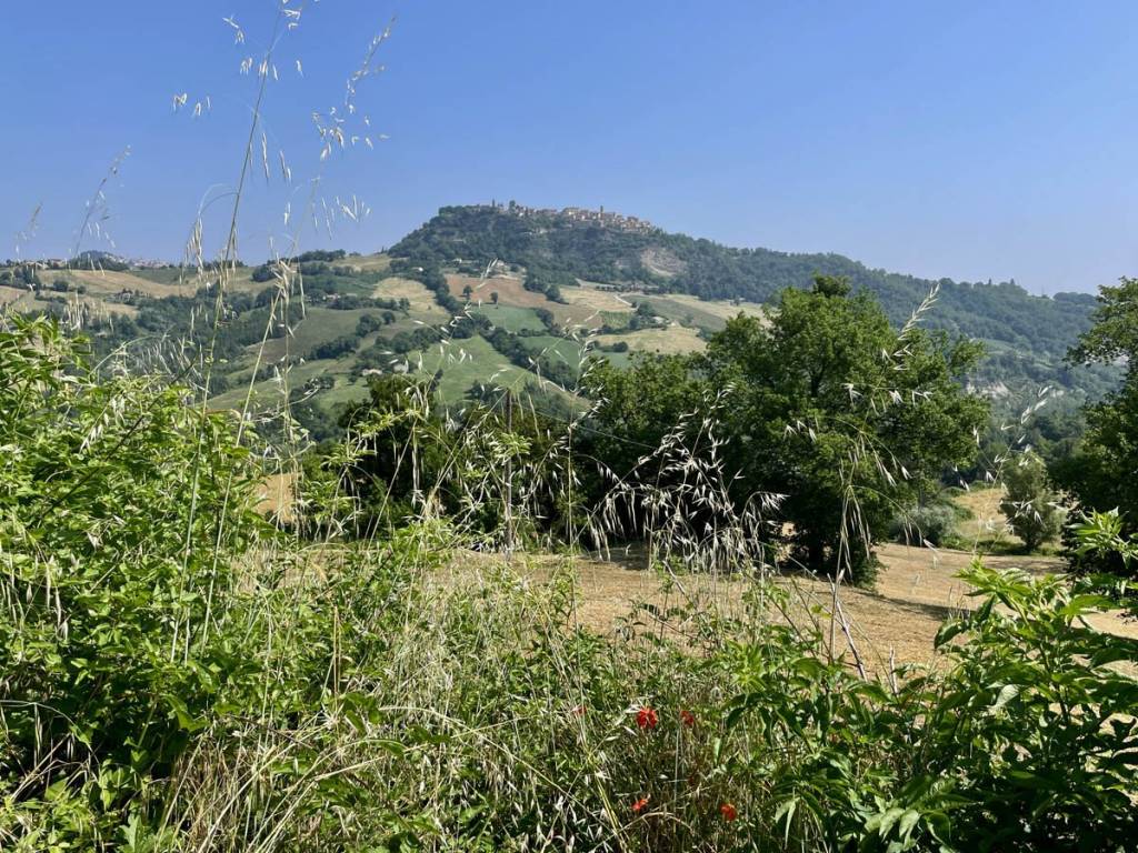 Rustico / casale a Smerillo in Contrada Colle Molino - Foto 3