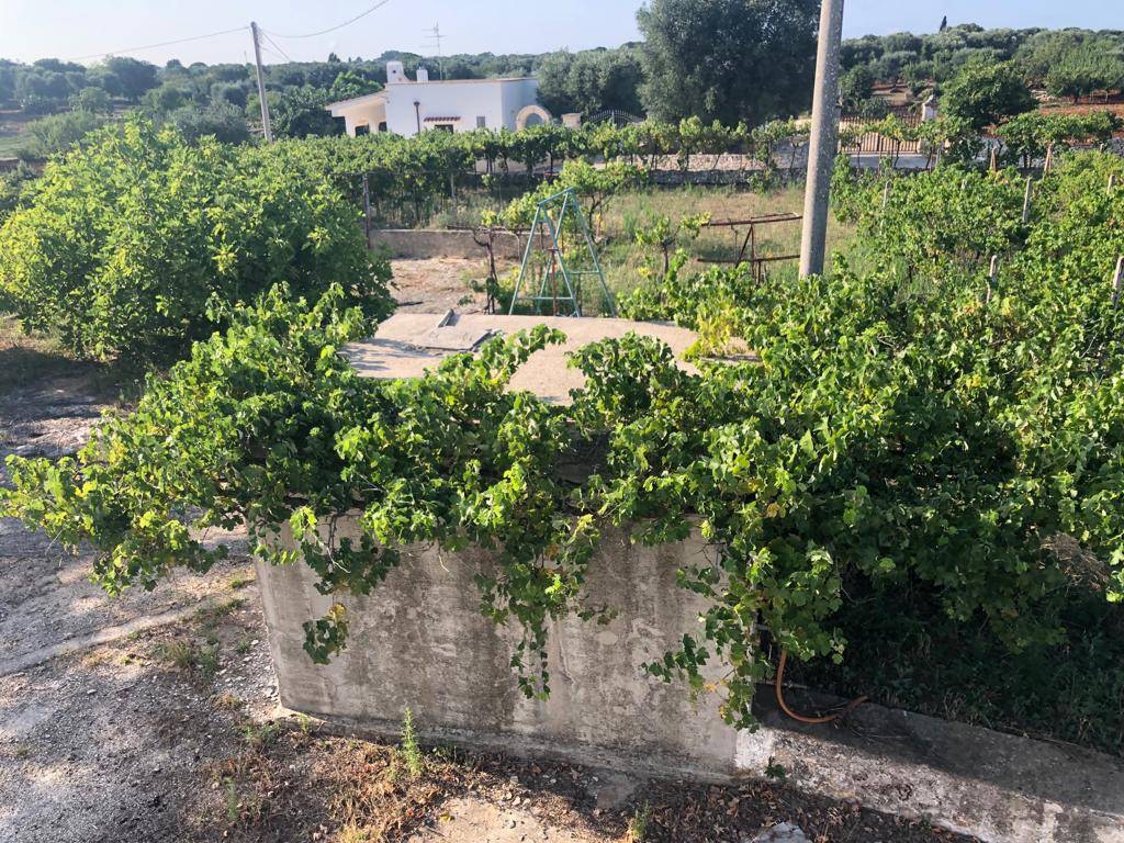 Rustico / casale a Ostuni in SP20 - Foto 5