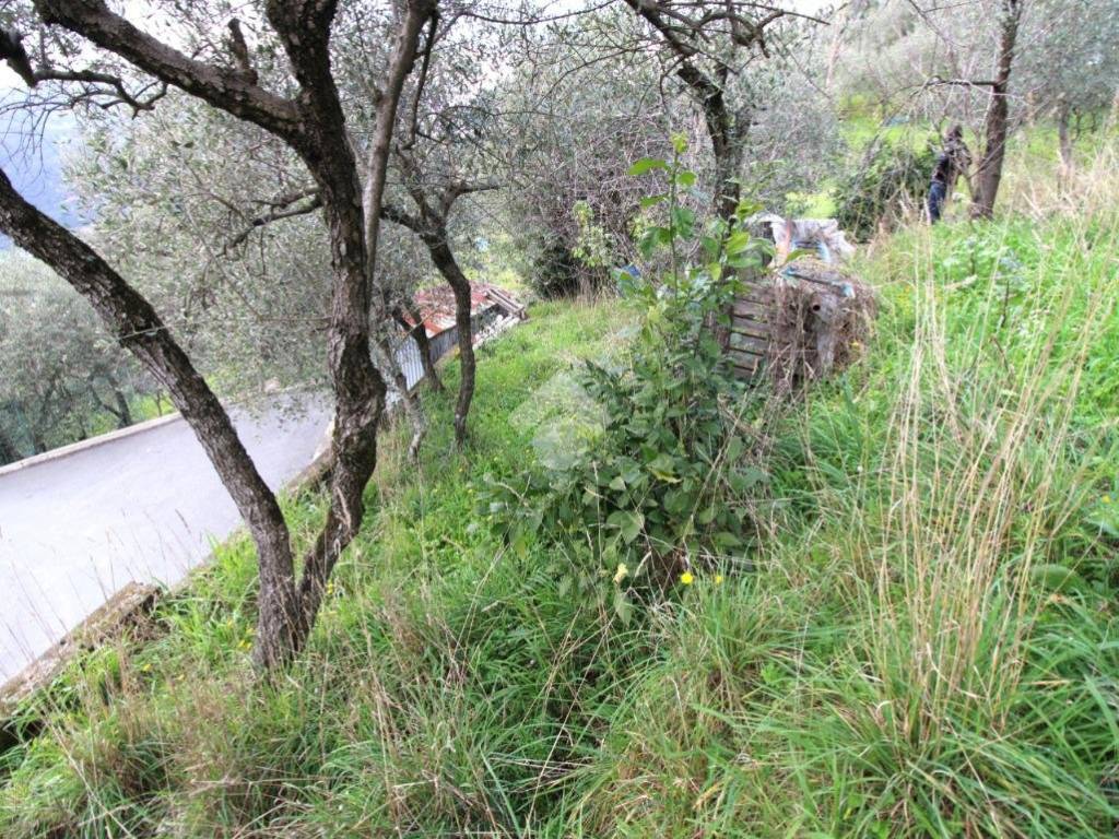 Terreno a Leivi in Via dei Caduti - Foto 2