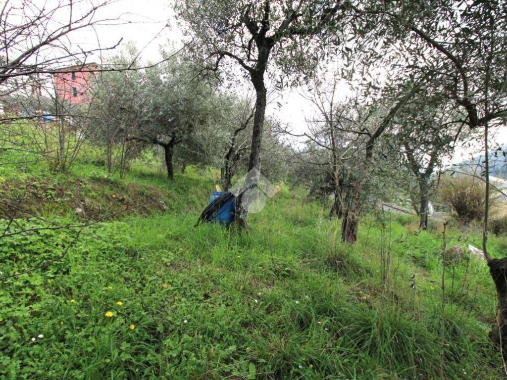 Terreno a Leivi in Via dei Caduti - Foto 3